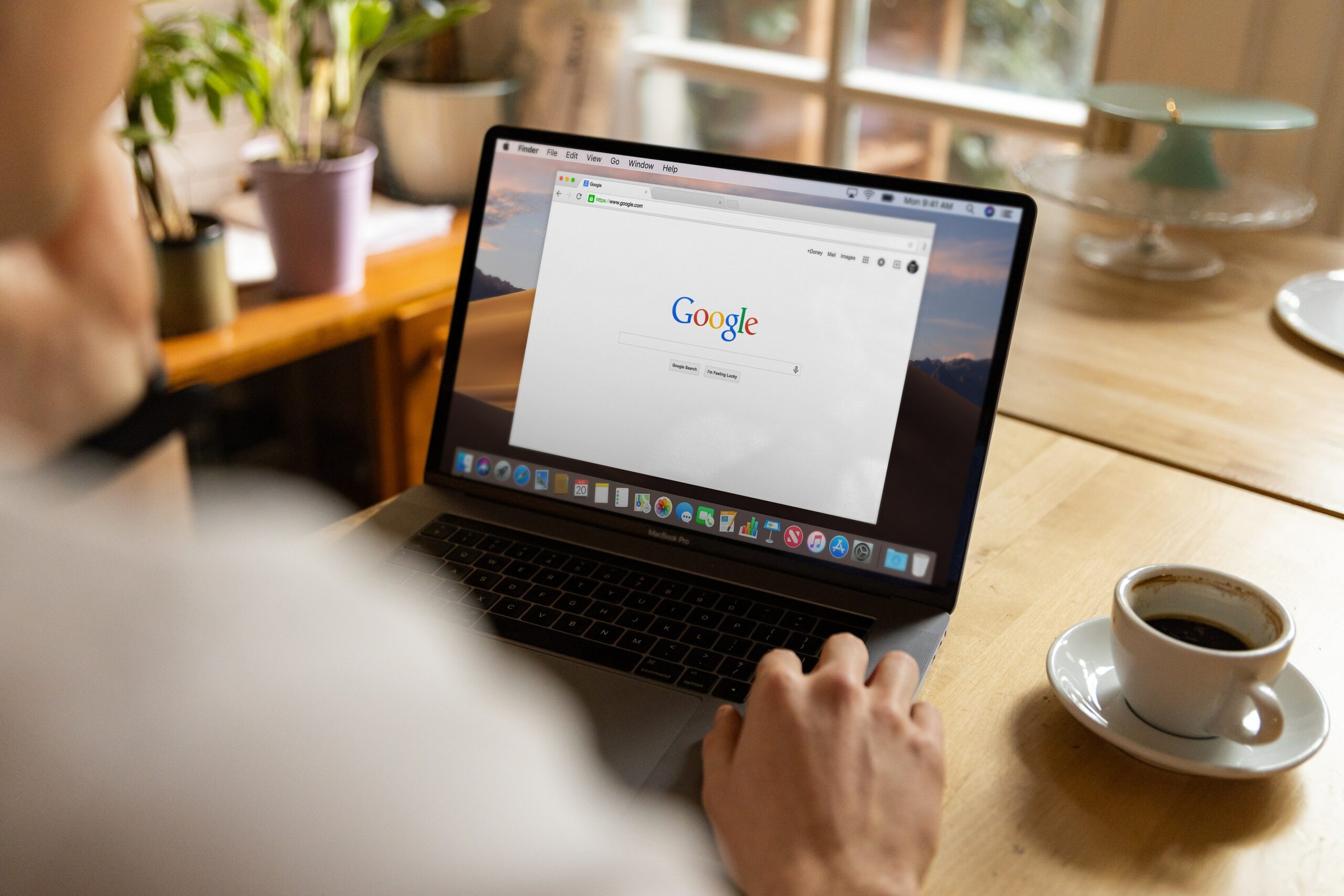 Search Engine Optimization | Insights | Renier Veldman